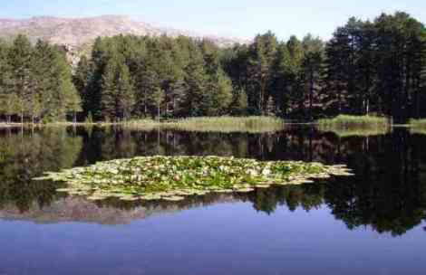 Résidence U MELU GRAND T3 ROUGE en rez de jardin - Foto 46