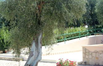 Residence e B&B La Cappella Del Convento - Foto 56