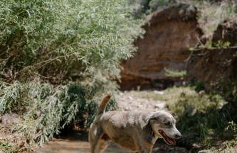 Tesuque Outpost Casita F Best views in Santa Fe - Foto 42