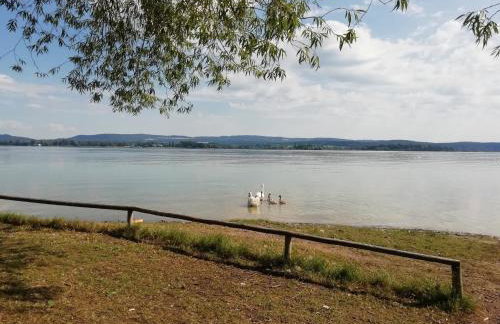 Ferienwohnung Sonnenhalde - Foto 4