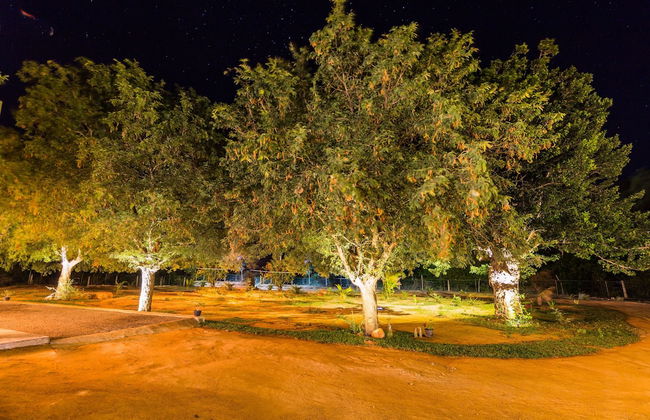 Forestville Yala - Foto 30