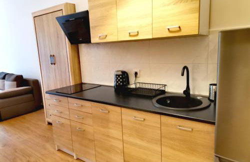 APARTAMENTY OLEŃKA - Foto 44