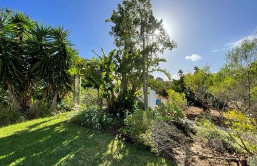 Casa Shani - Photo 15