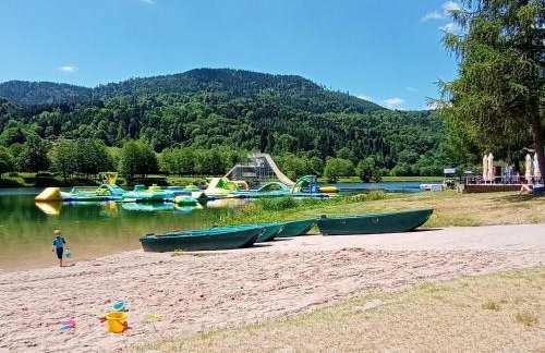 Notre Renardière, Gîtes à Saulxures-sur-Moselotte, Hautes-Vosges - Foto 58