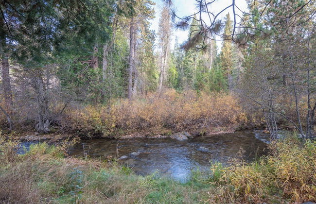 Yosemite Heights on Big Creek - Photo 22