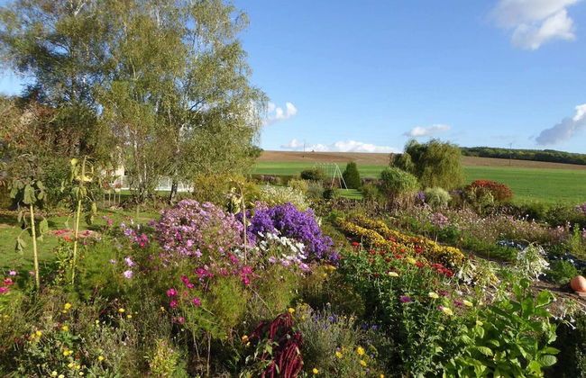 Château de Ribourdin - Foto 43
