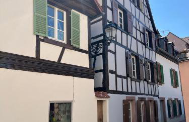 La Maison du Batelier - Quartier historique Petite Venise - Foto 43