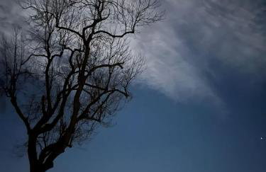 Agroturystyka Monte Luna - domki - Foto 15