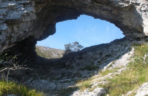 La Canaleja - Photo 20