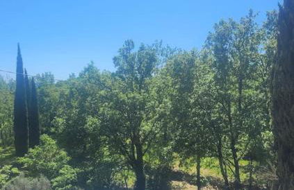 Le Mas Les Salamandres - Foto 9