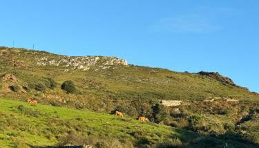 Casa de campo La siberia - Foto 2