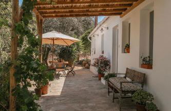 Três Figos - Foto 1