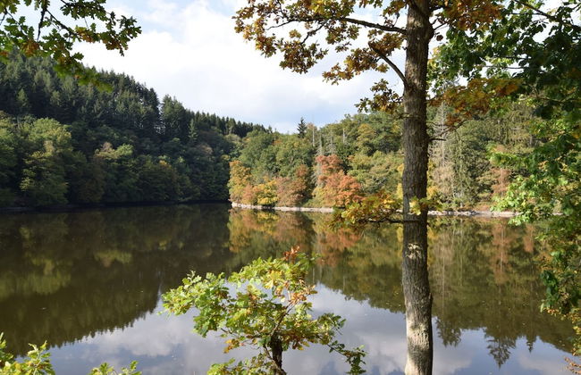 Alluring Farmhouse in Lavacherie with Hot Tub - Photo 37