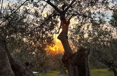 Borgo Medievale di Poggio Alla Pieve Relais, Food & Art - Foto 42