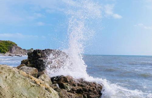 Relaxing private entrance ensuite room with stunning sea view and swimspa - Photo 33