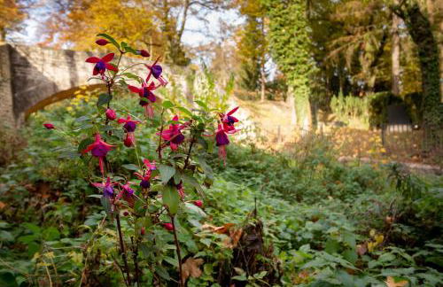 Alte Falknerei - Foto 27