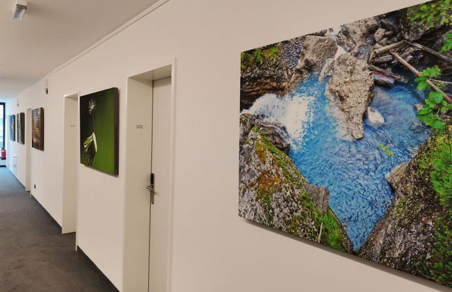 Saminapark Aparthotel & Boardinghouse - Foto 15