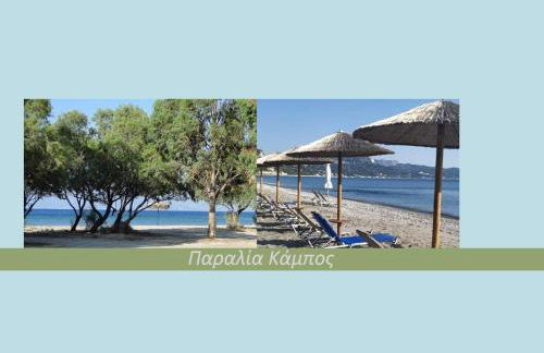 Ανέμη - Foto 38