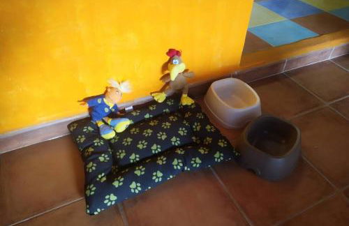 LOS ORIZOS Sierra de Gata Extremadura TR-CC-00392 - Foto 10