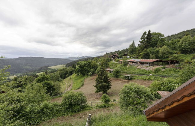 Holiday Home in Liebenfels in Carinthia - Foto 28