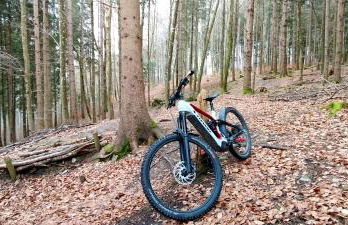 Ferienwohnung Hecht - Biketrail Fun & Relaxing - Photo 23