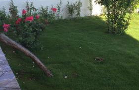 Anemos Apartments - Foto 29