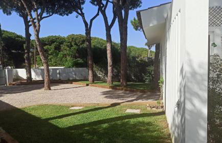 Diseño y luz entre los pinos - Foto 78