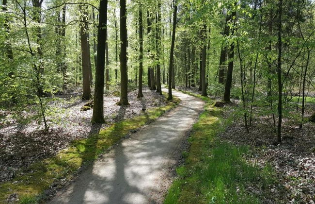 Ferienhaus Boschhuys - Foto 25