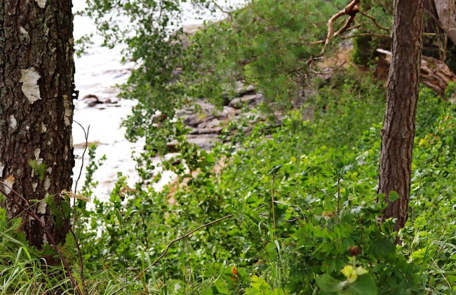 8 Person Holiday Home in Dals-langed-by Traum - Foto 29