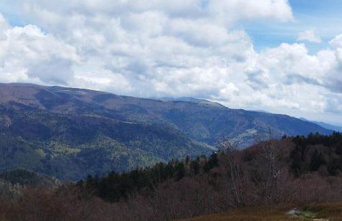 Maison de montagne vue magnifique - Foto 32