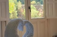 The Nasrid Palace from your bed ! - Photo 25