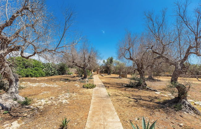 3621 Tenuta Terra del Sole by Perle di Puglia - Foto 13
