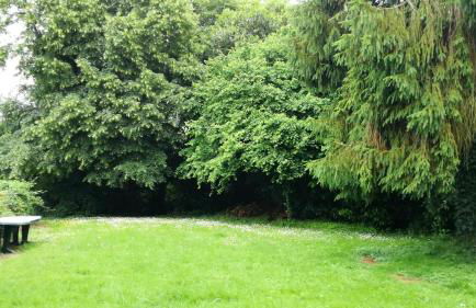 Maison cosy à Pontorson avec jardin clos et terrasse - Foto 13