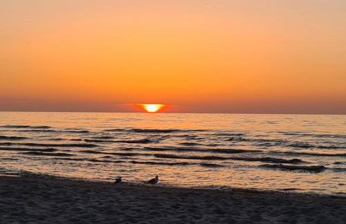 Bałtyk 44 na Wydmach - Foto 18