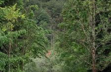 Prigorka, a fairytale house - Foto 51