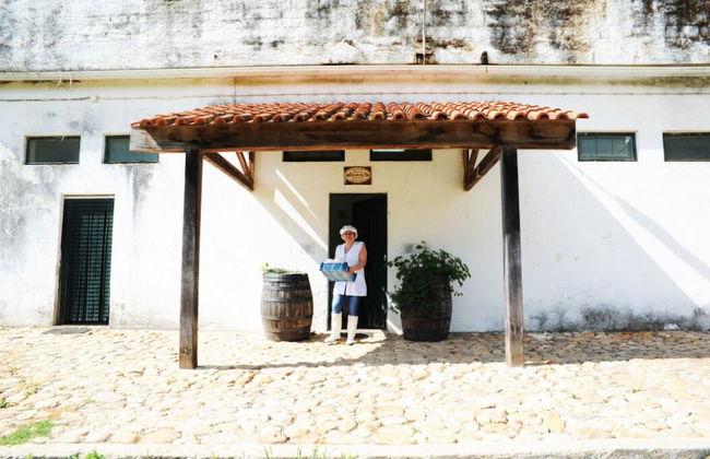 Vumba - The Alembic - Foto 29