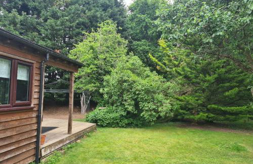 The Reading Chalet and gardens, suitable for contractors - Photo 16