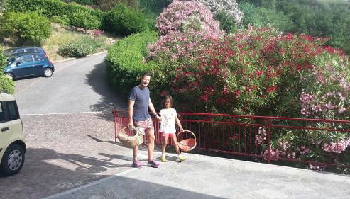 Via dei Ginepri - Photo 2, Garden view