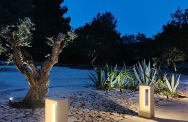 Terre di Sveva - Foto 36