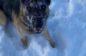 Charaktervolle Whg mit Parkplatz nähe Kassel - Foto 25