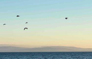 Magical Island cabin overlooking the sea - Foto 33