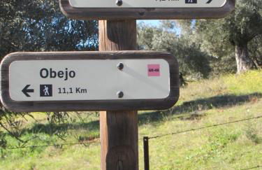 Cortijo "Era Grande 2" - Foto 37