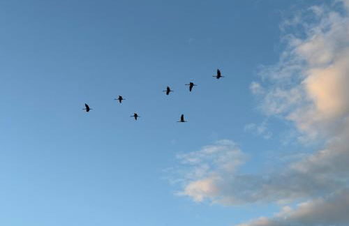 ECOVILLA - Natur pur - Foto 41