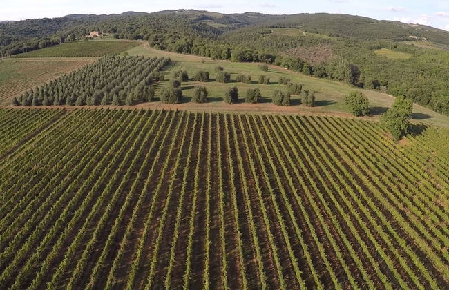 Antica Grancia di Quercecchio - Foto 51