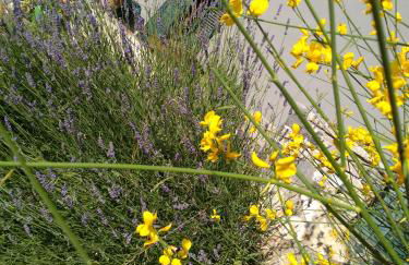 La Locanda dei Cavalieri - Foto 8