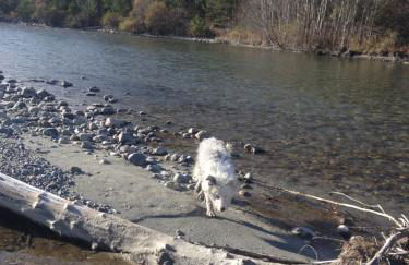 Chalet les Blancs - Foto 30