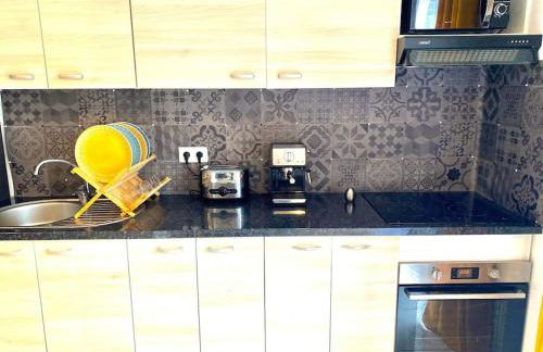 Toulouse vaste appartement très lumineux - Photo 10