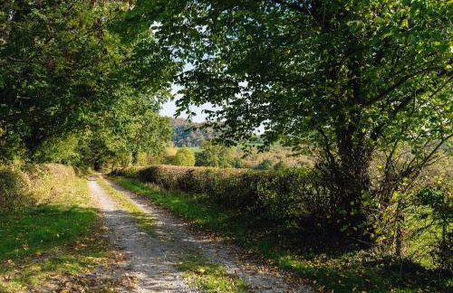 Mid-Wales Farmhouse, swimming pool, tranquil countryside views, sleeps 14 - Foto 53