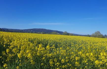Ferienwohnung Lebensfreude Höxter im Weserbergland - Foto 47