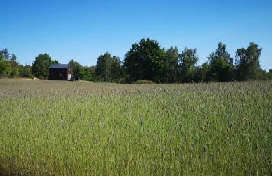 Domek Letniskowy ZŁOTY KARAŚ - Foto 18